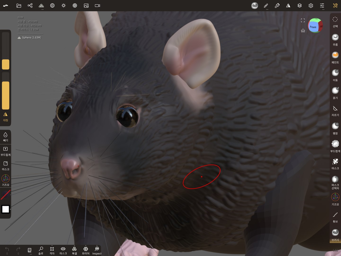 Rat 3D - TurboSquid 2117396