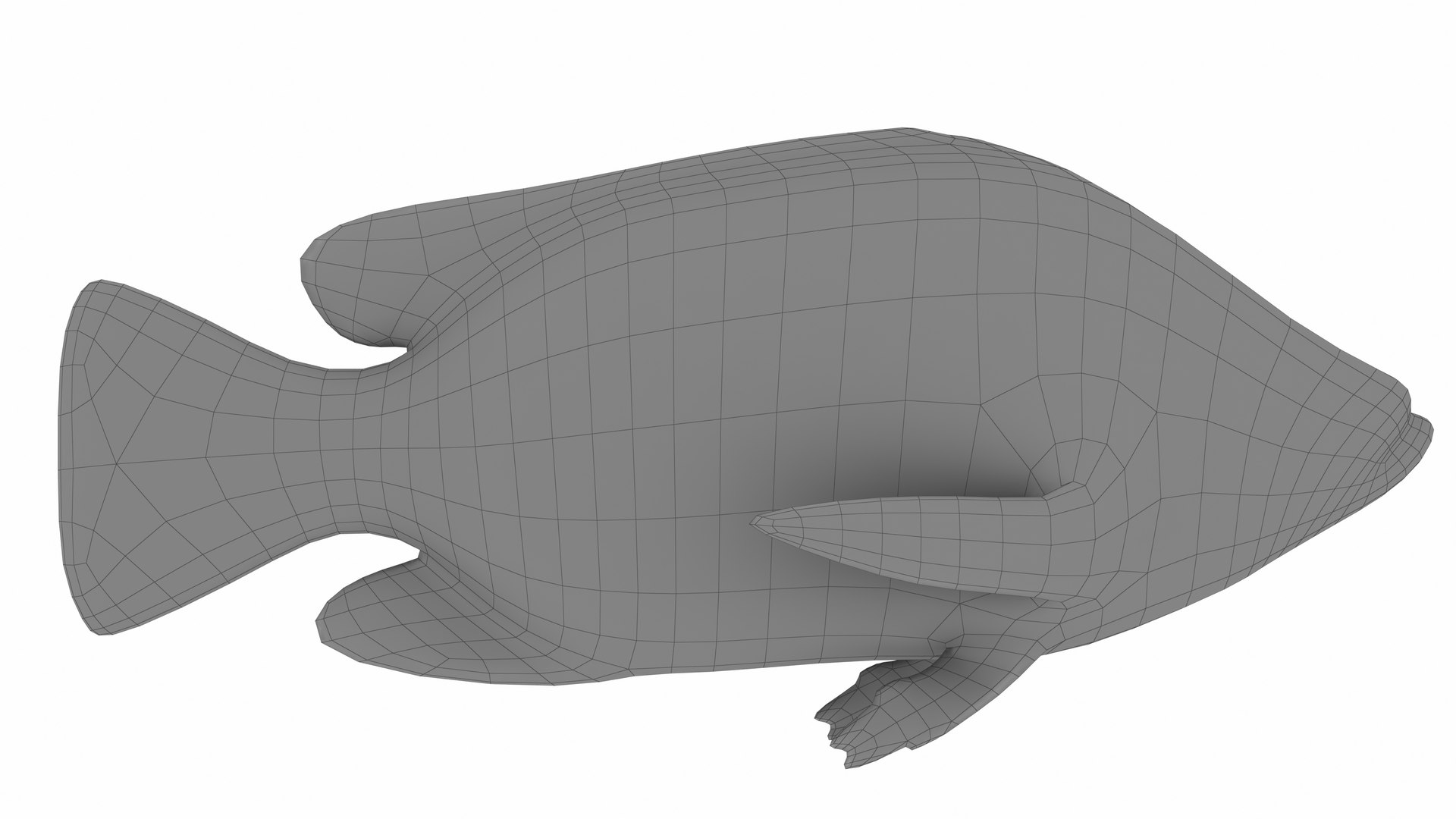 3D model Nila Tilapia https://p.turbosquid.com/ts-thumb/yi/95TF3t/06/nilatilapia9/jpg/1743263374/1920x1080/fit_q87/fc251730010c17223afcfa785ecda022b5a06bdd/nilatilapia9.jpg