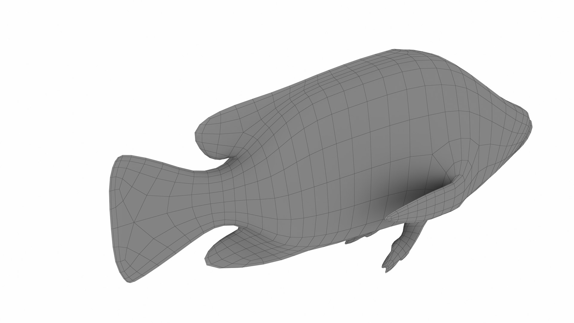 3D model Nila Tilapia https://p.turbosquid.com/ts-thumb/yi/95TF3t/3i/nilatilapia8/jpg/1743263372/1920x1080/fit_q87/e80e01e7170ae8127302b5f55dcc67c15d653b5e/nilatilapia8.jpg