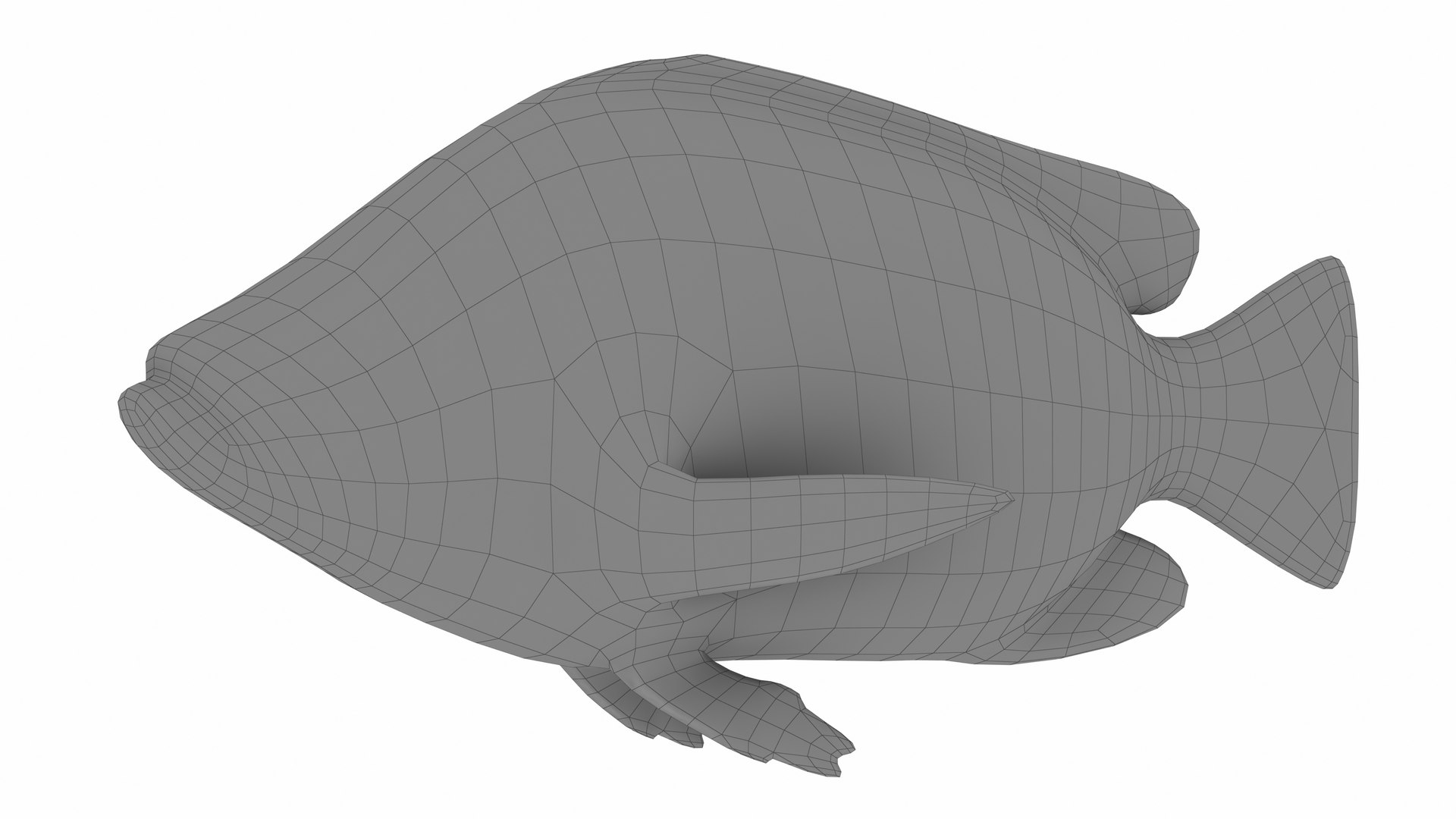 3D model Nila Tilapia https://p.turbosquid.com/ts-thumb/yi/95TF3t/No/nilatilapia7/jpg/1743263372/1920x1080/fit_q87/de3c5ac5be4814e7aa011d964f6abf2fa14712b5/nilatilapia7.jpg