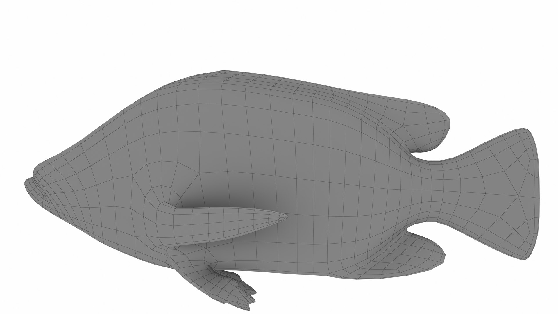 3D model Nila Tilapia https://p.turbosquid.com/ts-thumb/yi/95TF3t/ZB/nilatilapia12/jpg/1743263372/1920x1080/fit_q87/66baf4164c642fb5872029153a036f29f8cf069c/nilatilapia12.jpg