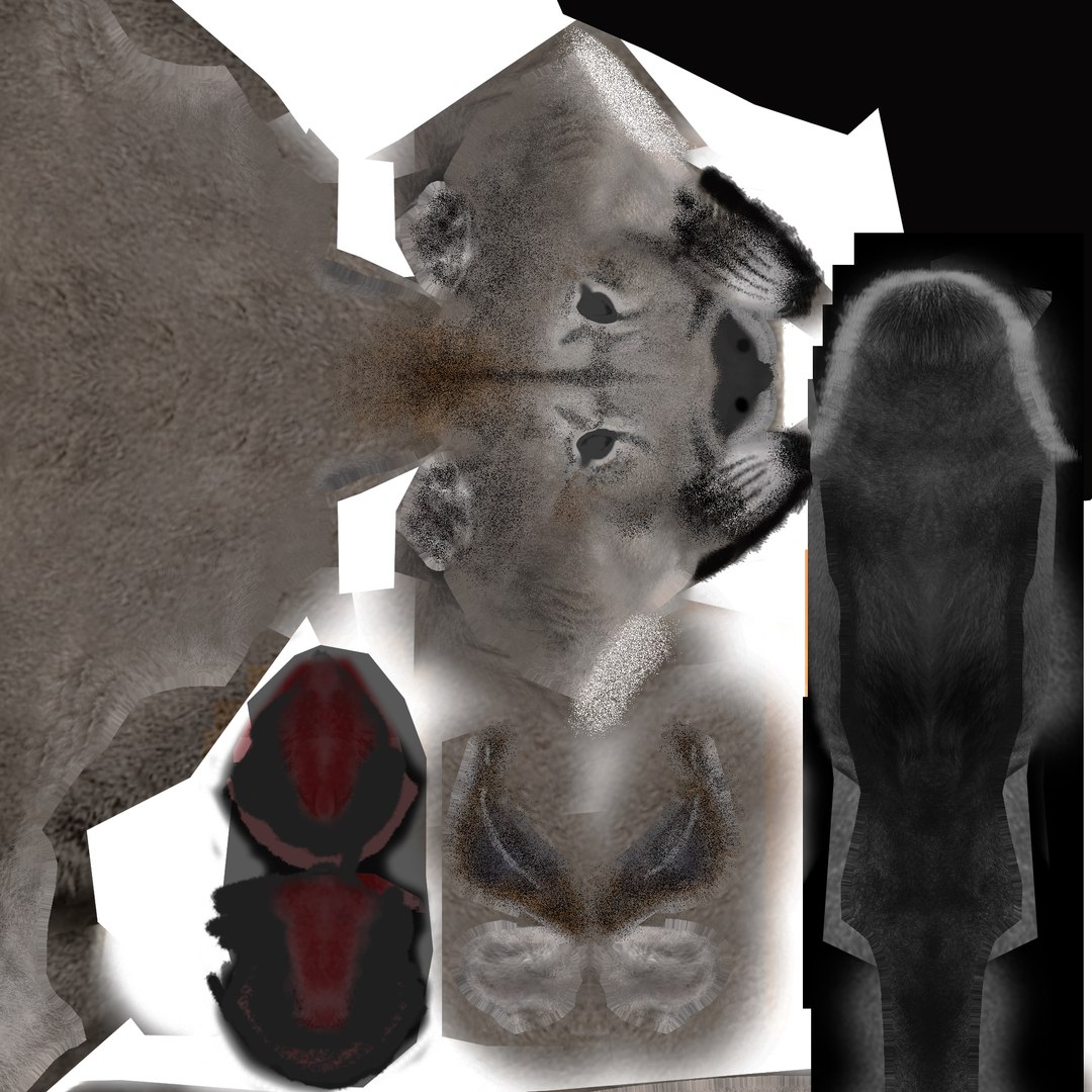 Puma animation 3D - TurboSquid 1503152