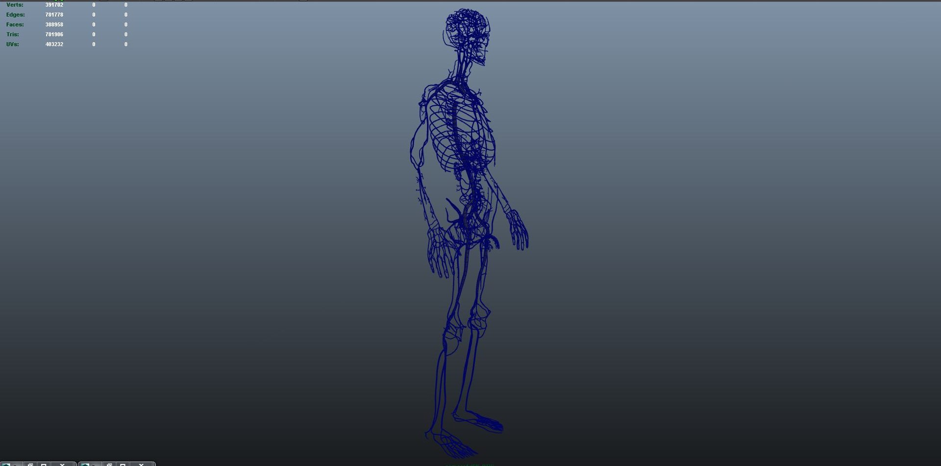 3D Body Arteries Model - TurboSquid 1216980