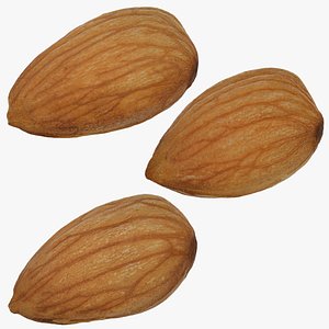 Almond Set