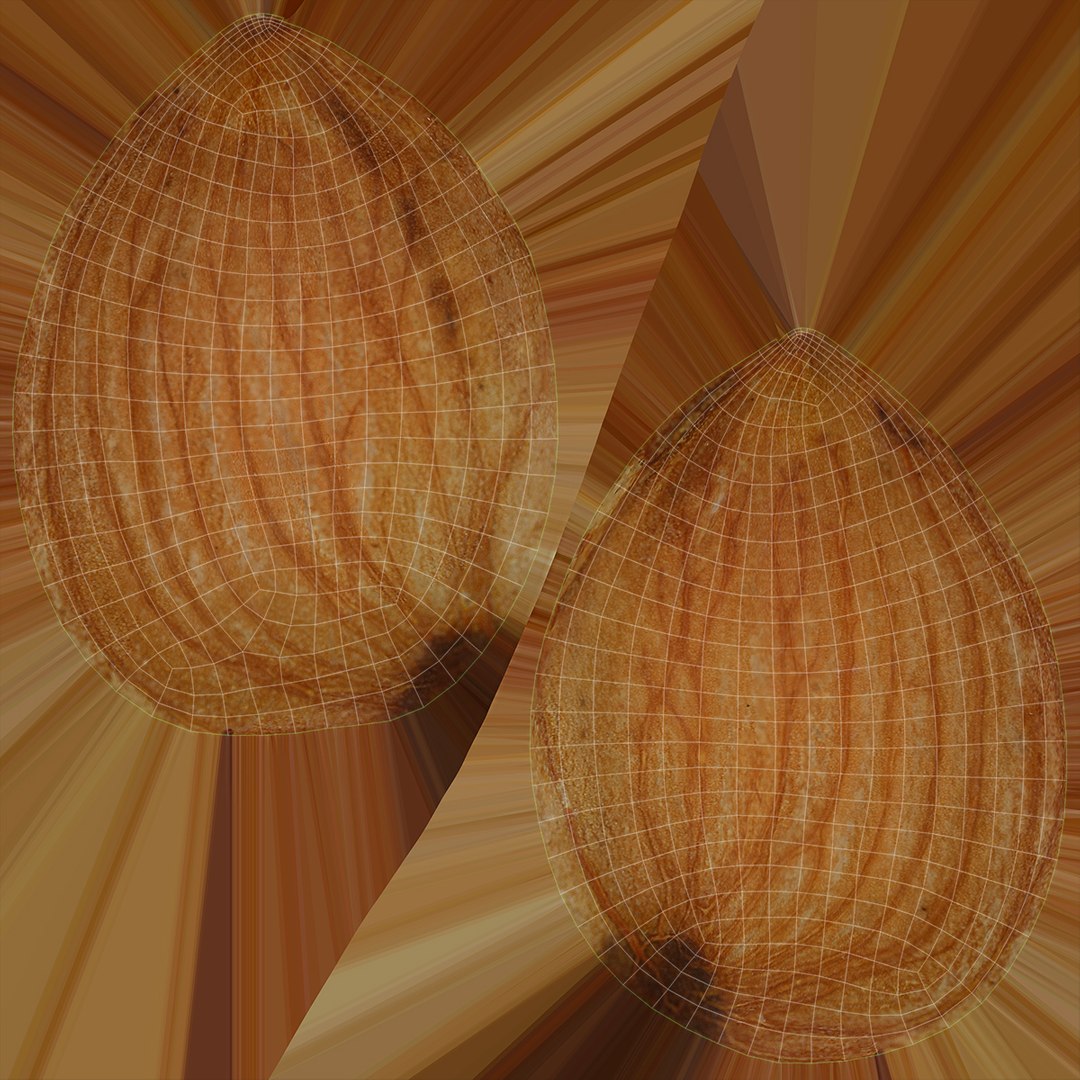 3D model almond set https://p.turbosquid.com/ts-thumb/yi/Y3UD1z/YI/27/jpg/1612401048/1920x1080/fit_q87/1a5d32bfec734f9ec598eda8d5e4684b2acaa20e/27.jpg