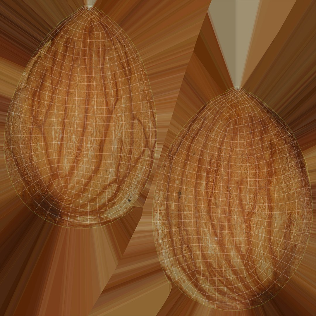 3D model almond set https://p.turbosquid.com/ts-thumb/yi/Y3UD1z/Yn/17/jpg/1612401049/1920x1080/fit_q87/ee836606232f83d28f87a63841b7febee7f9e62d/17.jpg