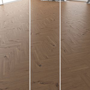 parquet oak vergne wild 3D