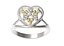 Ring  131