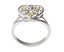 Ring  131