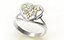 Ring  131