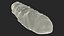 Baguette Bread