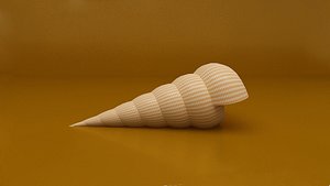 3ds max conch