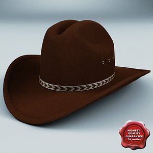 3d cowboy hat v3 model