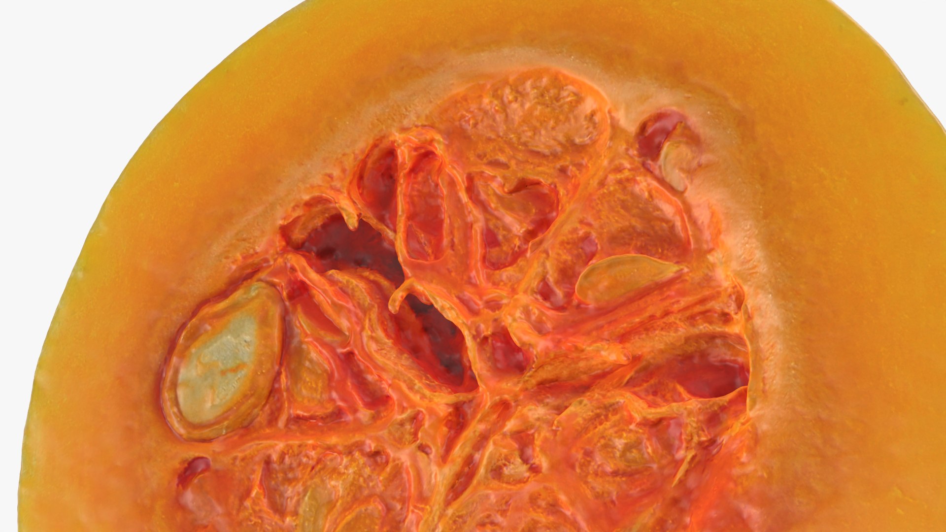 Butternut Squash Slice 3D https://p.turbosquid.com/ts-thumb/yj/Dl3roc/B4/butternutsquashslice_0012/png/1766159751/1920x1080/fit_q87/927f9b0b0ff23d39f6458b356e4273be8cb8b2b5/butternutsquashslice_0012.jpg
