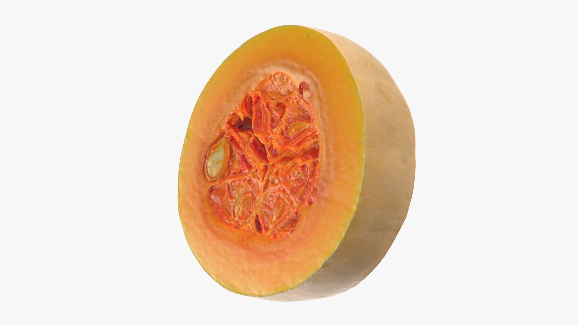 Butternut Squash Slice 3D https://p.turbosquid.com/ts-thumb/yj/Dl3roc/Xy/butternutsquashslice_0003/png/1766159713/1920x1080/fit_q87/dfd24668e4a3fa639b2f52ecf157ccb188360dfa/butternutsquashslice_0003.jpg
