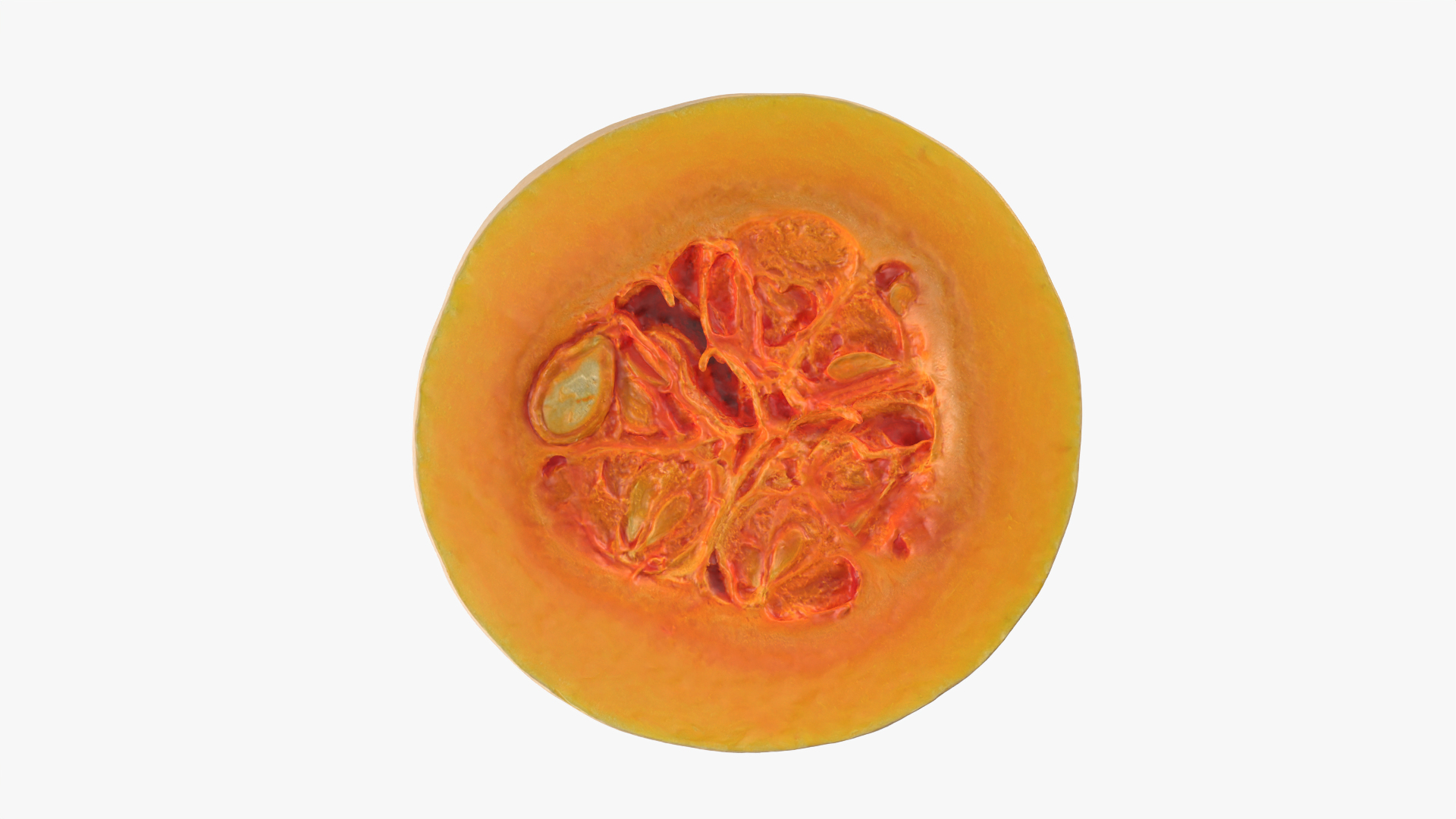 Butternut Squash Slice 3D https://p.turbosquid.com/ts-thumb/yj/Dl3roc/c8/butternutsquashslice/png/1766299929/1920x1080/turn_fit_q99/03a24e165bfba3717cfb5c40cd6ef85812198c8d/butternutsquashslice-1.jpg