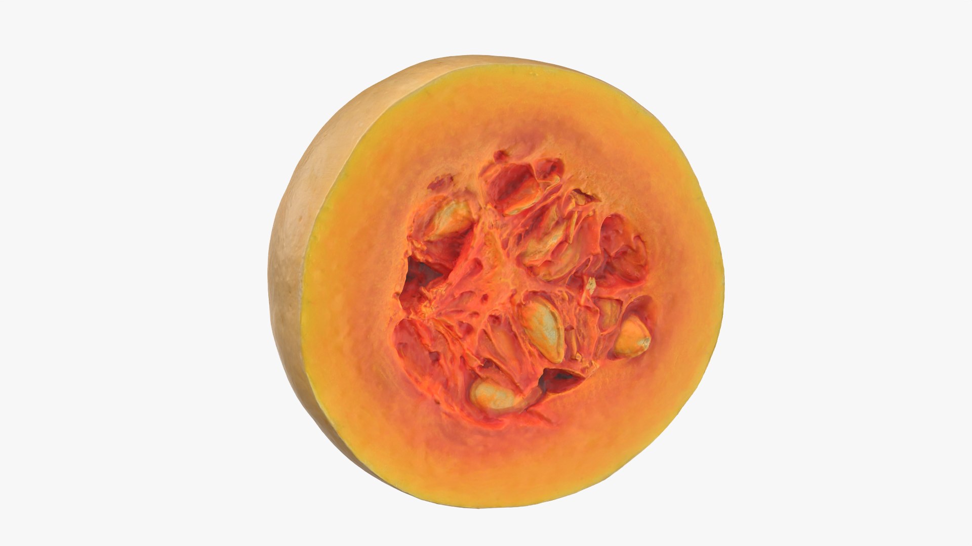 Butternut Squash Slice 3D https://p.turbosquid.com/ts-thumb/yj/Dl3roc/j3/butternutsquashslice_0002/png/1766159707/1920x1080/fit_q87/624a02a1a257e7f98efb8f27ee683a54fc48a3f1/butternutsquashslice_0002.jpg