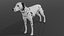 Dalmatian OBJ model