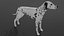 Dalmatian OBJ model