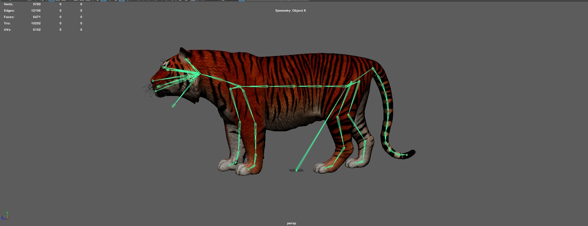 Tiger Animation Model - TurboSquid 2272540