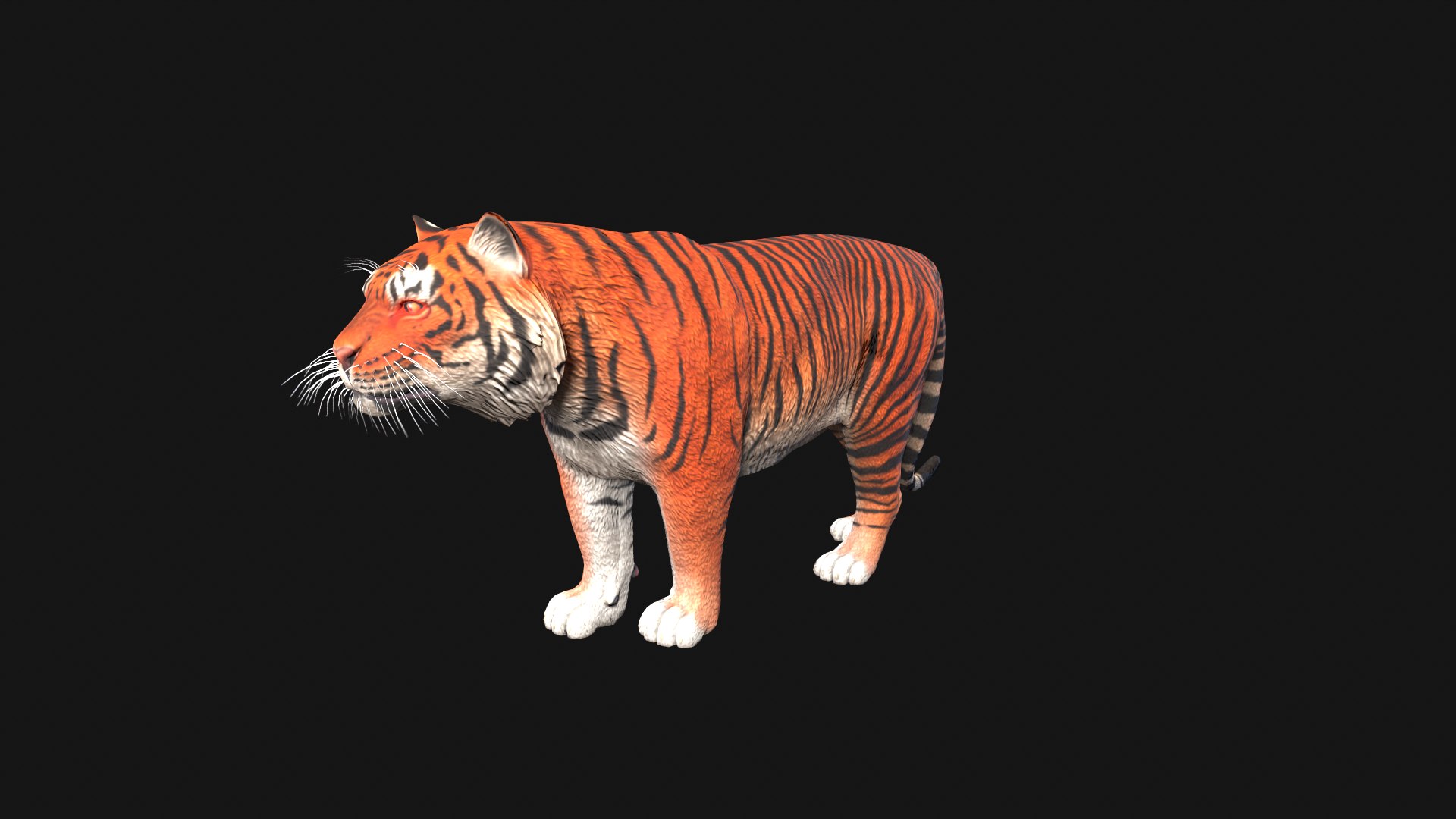 Tiger Animation Model - TurboSquid 2272540
