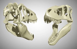 tarbosaurus bataar max