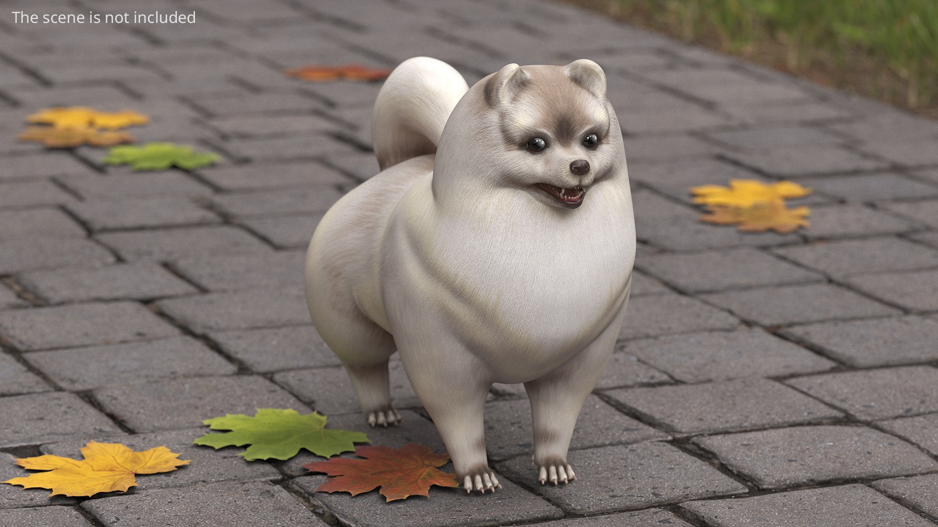 3D model Small Dogs Collection 2 https://p.turbosquid.com/ts-thumb/yj/UvR8Yd/Sn/stylized_pomeranian_dwarf_spitz_dog_cream_sable_002/jpg/1776544515/1920x1080/fit_q87/ca1774c79f69aa16ff5550b58c5373833ea7a7c4/stylized_pomeranian_dwarf_spitz_dog_cream_sable_002.jpg