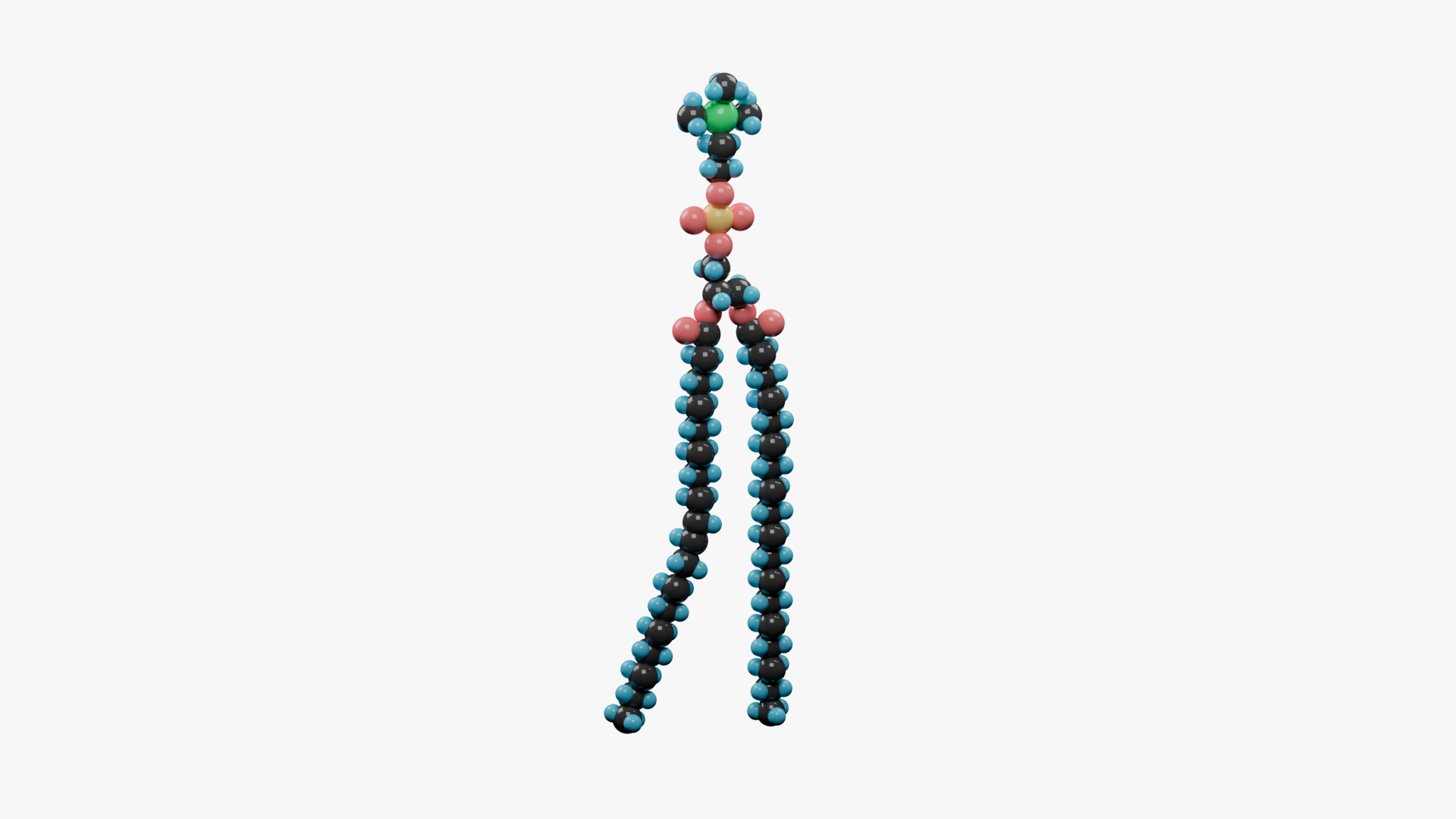 3D model Phospholipid molecular structure https://p.turbosquid.com/ts-thumb/yj/bBs7SA/9g/ad/png/1649621820/1920x1080/turn_fit_q99/50ca038dec457b18832eb7a0a84eec6c41fd3a5b/ad-1.jpg