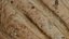 Fresh Artisan Bread Loaf 3D Model