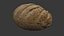 Fresh Artisan Bread Loaf 3D Model