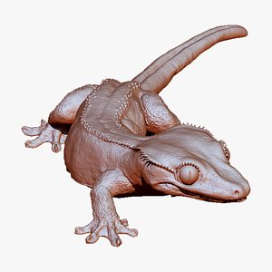 lizard Crested Gecko  statue Zbrush Sculpt 3D