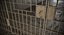 Prison Bars