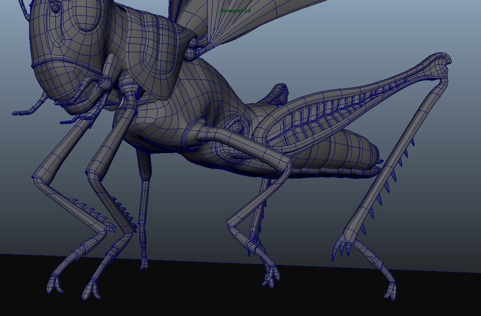 Grasshopper Grass Hopper 3d Model Turbosquid 1316239