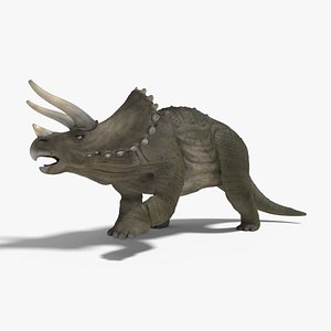 Triceratops Rigged