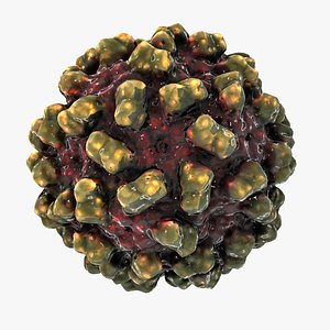 max necrotic spot virus