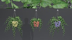 3D Enhlish Ivy Plant on Hang Pot model