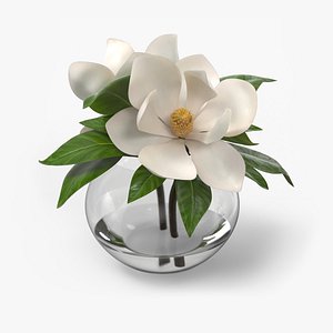 3D Transparent Glass Vase with White Magnolia Flowers