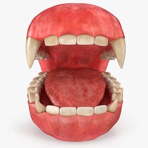 Creature Jaw Rig Maya