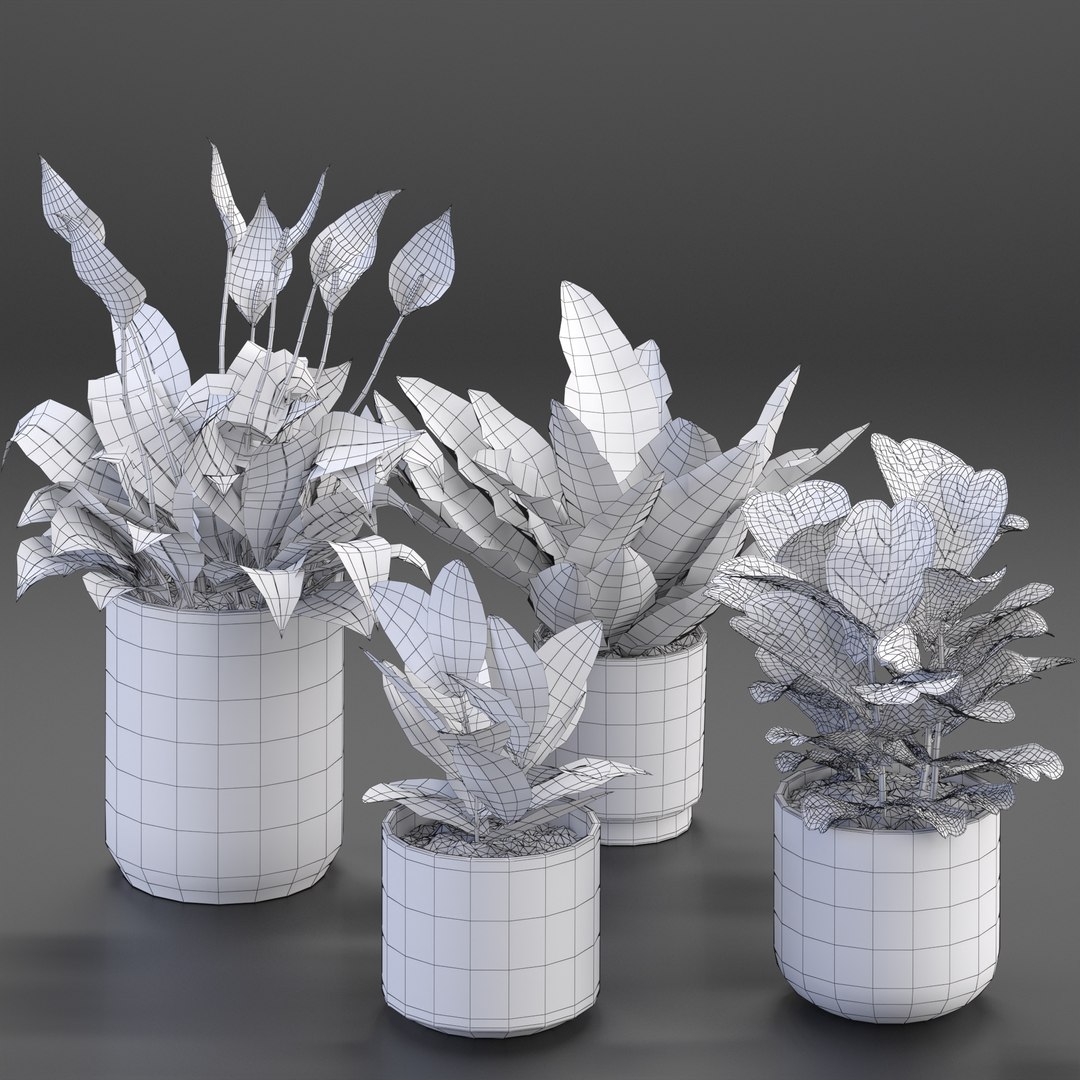 3D houseplant https://p.turbosquid.com/ts-thumb/yk/c2T4m8/AD/2/jpg/1613565333/1920x1080/fit_q87/b825ab848fb4c55ba75165d88039725a419233c8/2.jpg