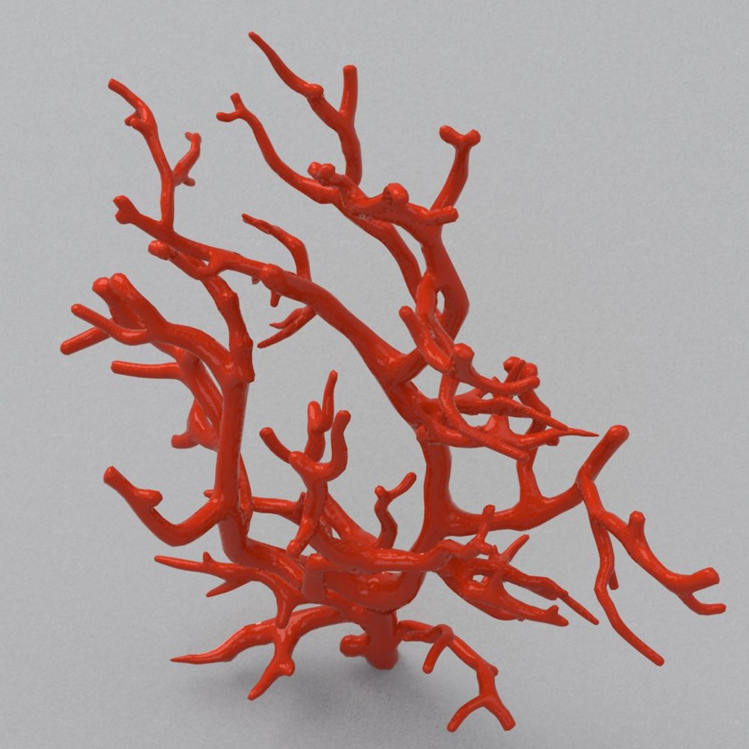 coral rhinoceros 3d model https://p.turbosquid.com/ts-thumb/yk/fYz3Ce/HNQkjXKV/2/jpg/1273769777/1920x1080/fit_q87/13dee3c3a28db22f1b2b02be03bbcafcb2eb3cee/2.jpg