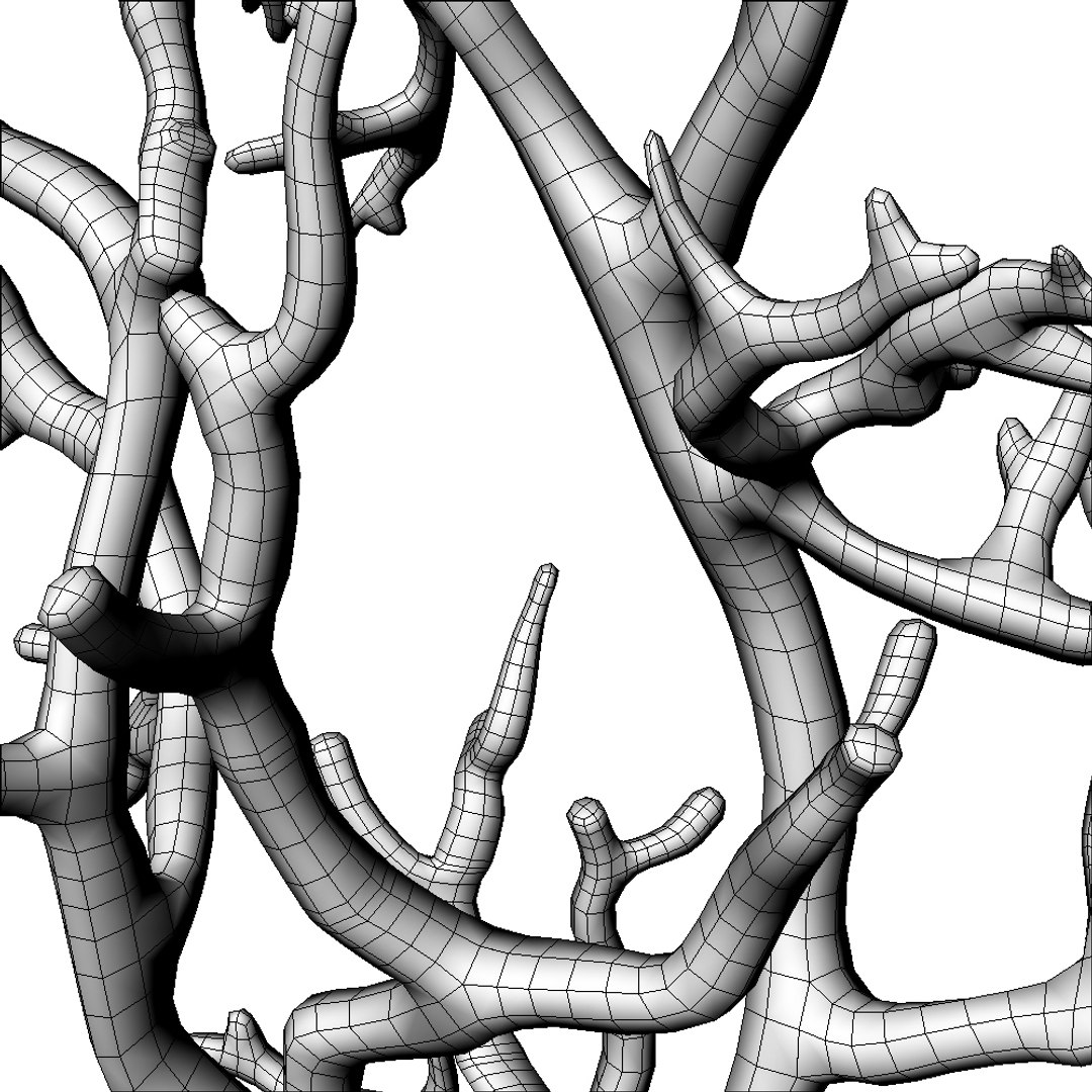 coral rhinoceros 3d model https://p.turbosquid.com/ts-thumb/yk/fYz3Ce/Wf0cy1Kb/5/jpg/1273769777/1920x1080/fit_q87/514ee754eb9f4574a214cff887bee72d80c09f4a/5.jpg
