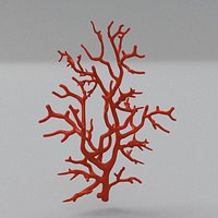 Coral
