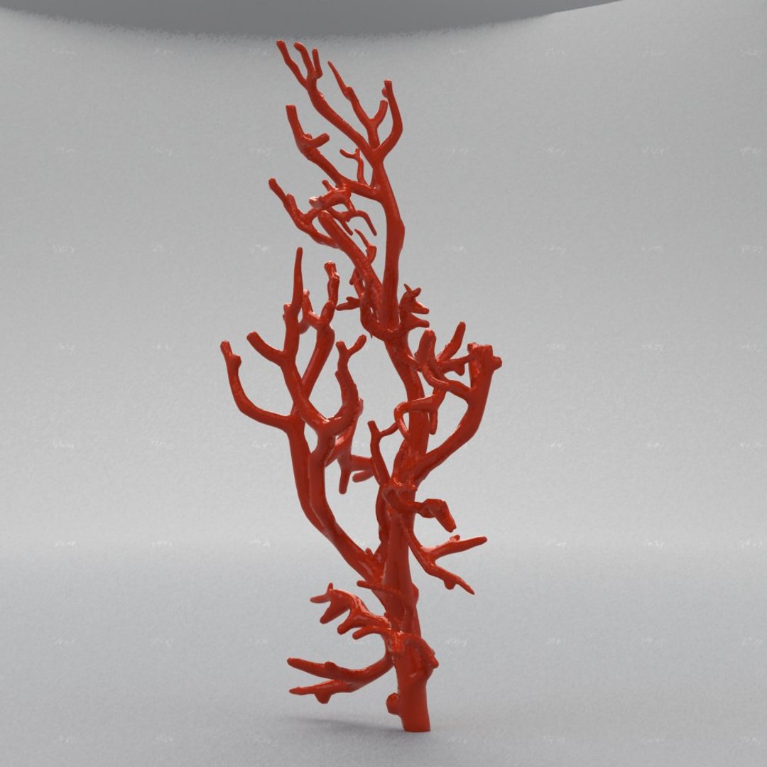 coral rhinoceros 3d model https://p.turbosquid.com/ts-thumb/yk/fYz3Ce/wFcqJxN6/3/jpg/1273769777/1920x1080/fit_q87/932ab3ddbe1af05a60725c78204bc1c206d81536/3.jpg