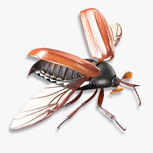 bug wings modeled max
