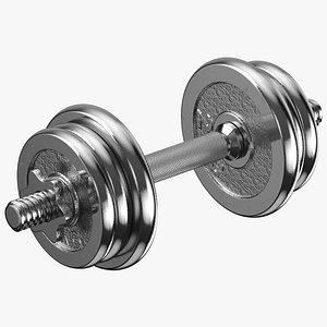Chrome Dumbbell(1)