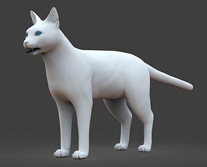 CAT Higholy and Lowpoly