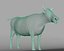 cow model
