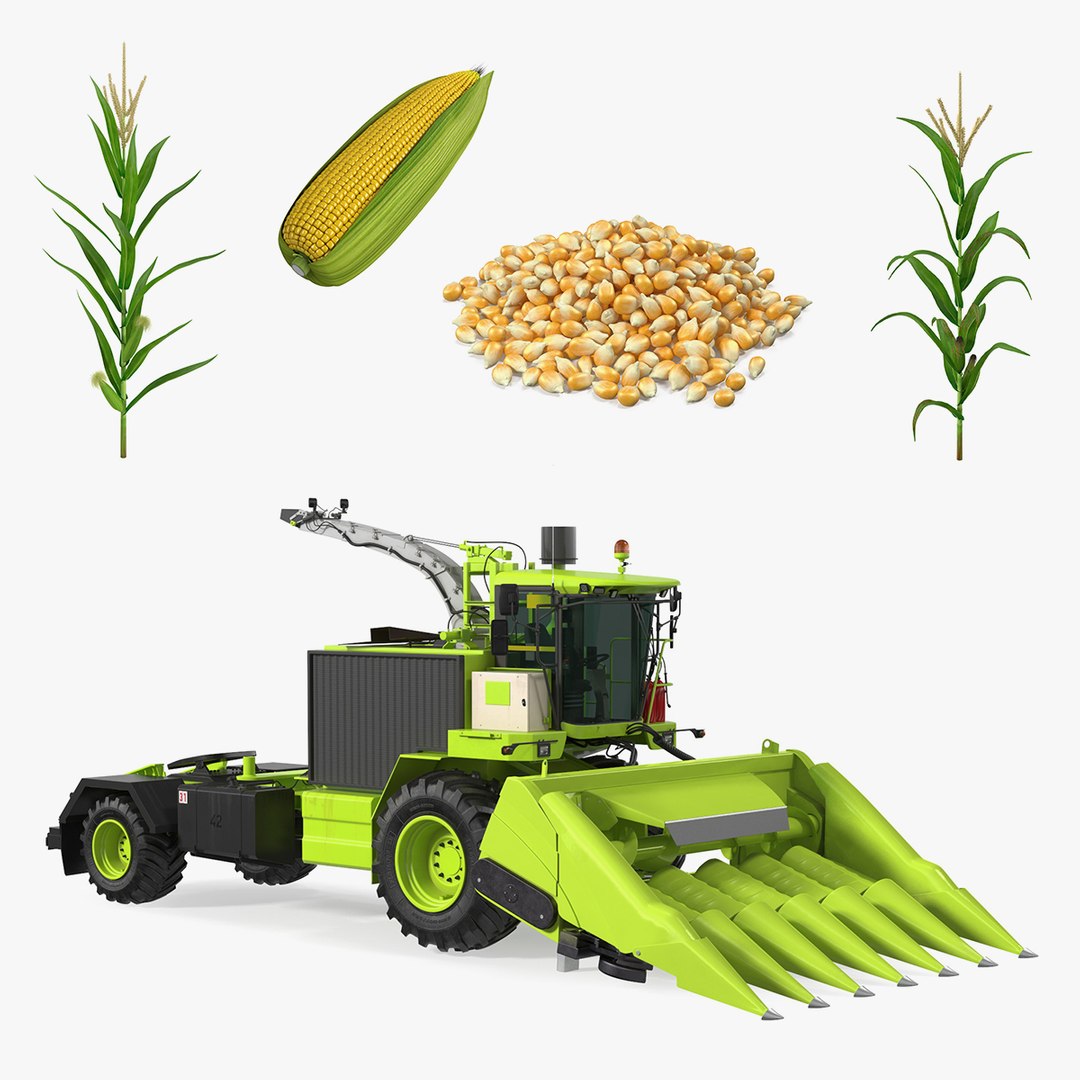 Corn Collection 3 3D model preview