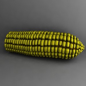 maya corn vegetable