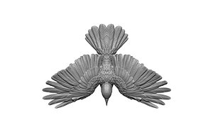 3D bird flies model